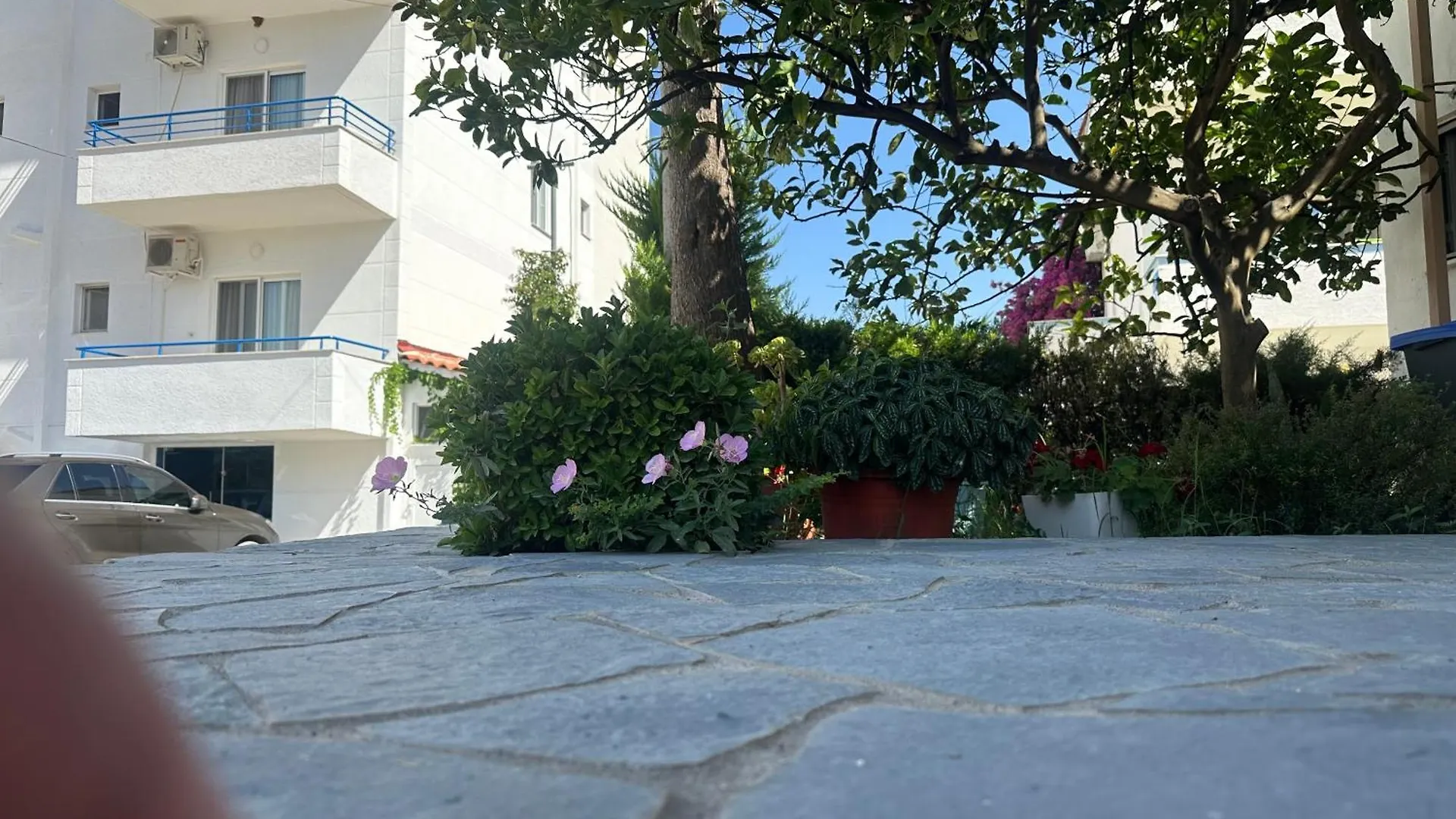 Skenderi Apartments クサミル アルバニア